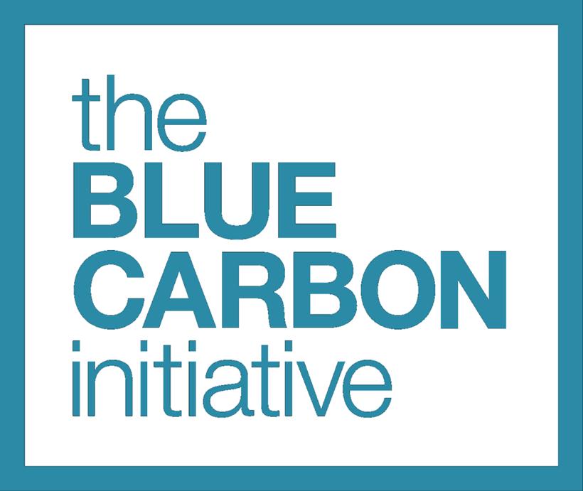 Blue Carbon Initive